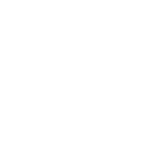Bullet Icon