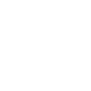 LICENSED HANDYMEN